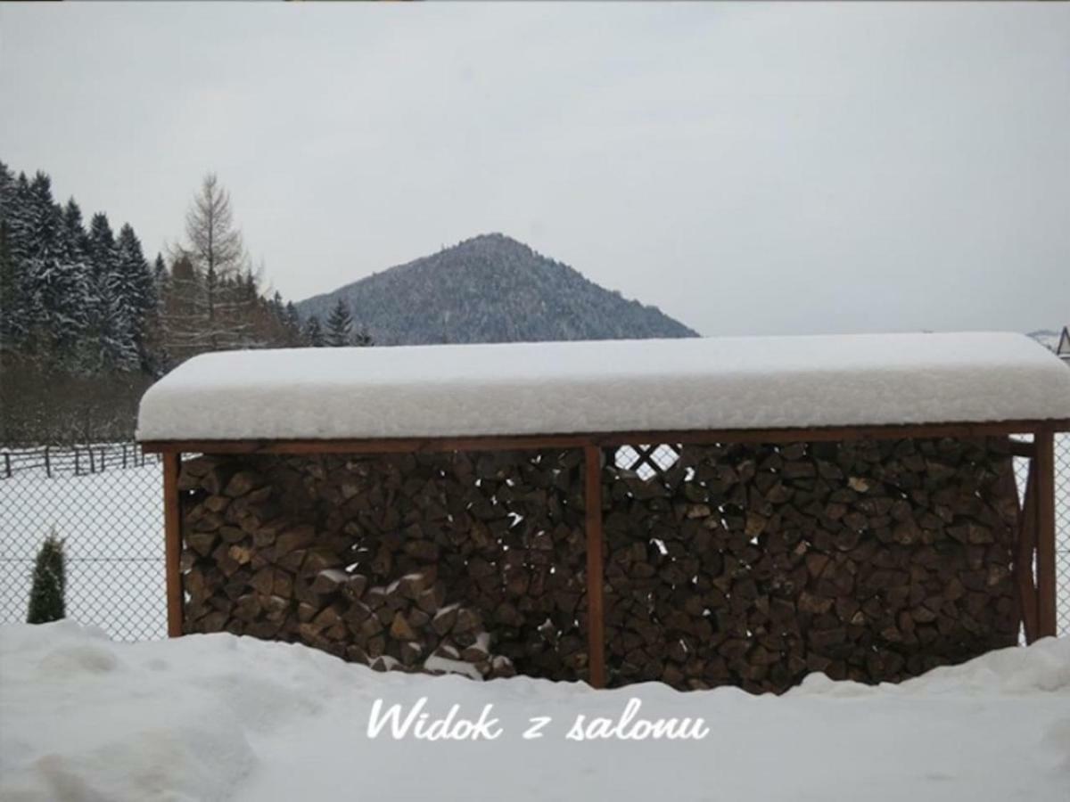 Ferienwohnung Nasze Pieniny Szczawnica Exterior foto
